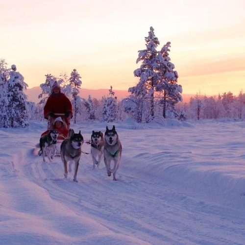 8 daagse excursiereis Lapland hotel Saaga